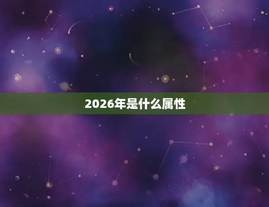 2026年是什么属性