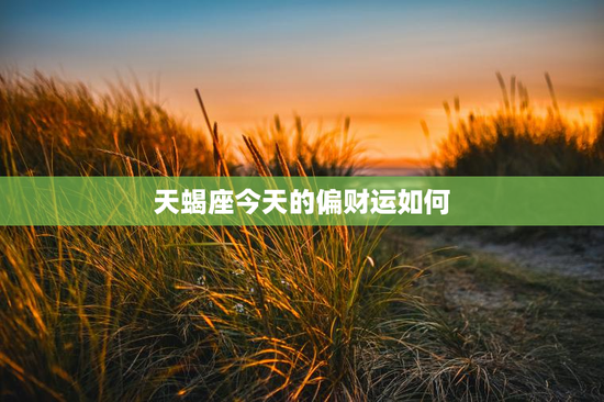 天蝎座今天的偏财运如何