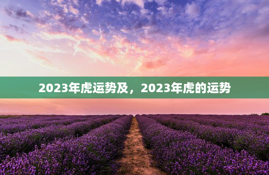 2023年虎运势及，2023年虎的运势