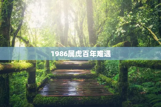 1986属虎百年难遇，86年虎哪年才开始发财