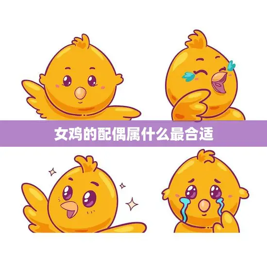 女鸡的配偶属什么最合适(如何选择最佳的鸡配偶) 女鸡的配偶属什么最合适(如何选择最佳的鸡配偶)