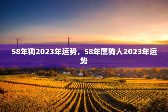 58年狗2023年运势，58年属狗人2023年运势