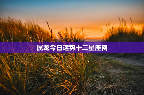 属龙今日运势十二星座网