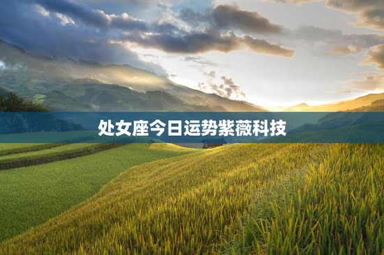 处女座今日运势紫薇科技 处女座今日运势紫薇科技