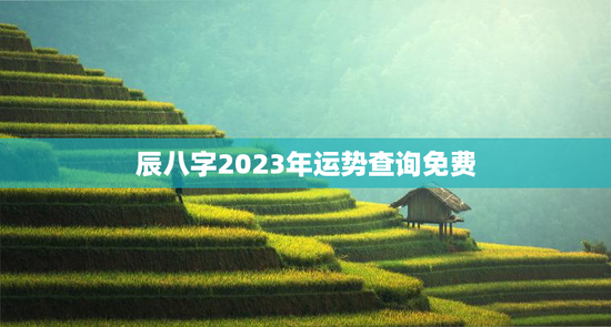 辰八字2023年运势查询免费