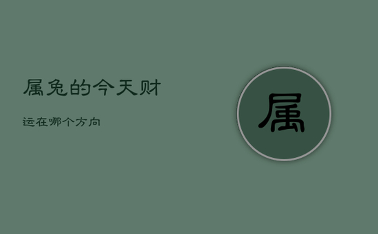 属兔的今天财运在哪个方向