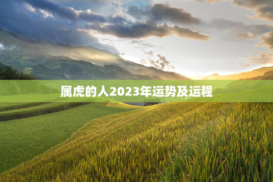 属虎的人2023年运势及运程，属虎的人2023年运势及运程男性