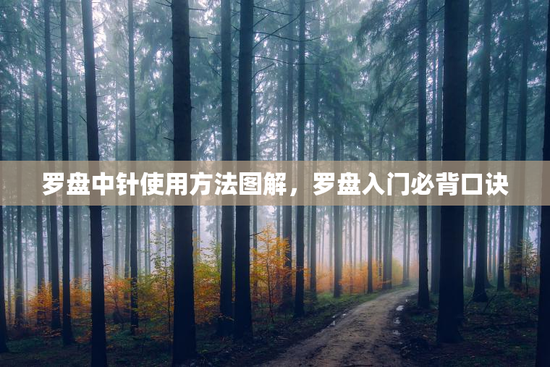 罗盘中针使用方法图解,罗盘入门必背口诀 罗盘中针使用方法图解,罗盘入门必背口诀