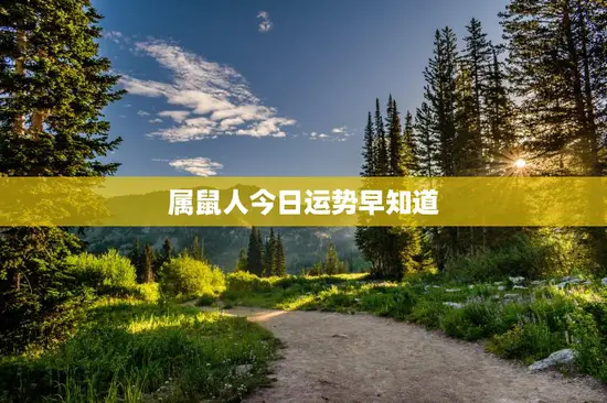 属鼠人今日运势早知道