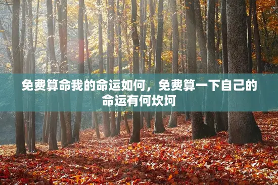 免费算命我的命运如何，免费算一下自己的命运有何坎坷