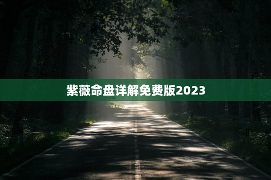 紫薇命盘详解免费版2023 紫薇命盘详解免费版2023