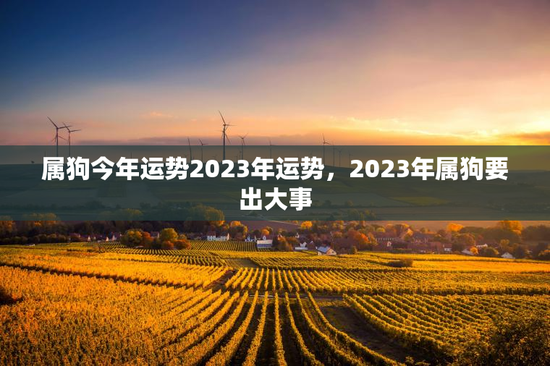 属狗今年运势2023年运势,2023年属狗要出大事 属狗今年运势2023年运势,2023年属狗要出大事