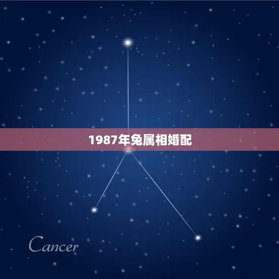1987年兔属相婚配