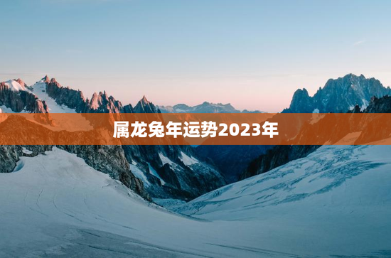 属龙兔年运势2023年