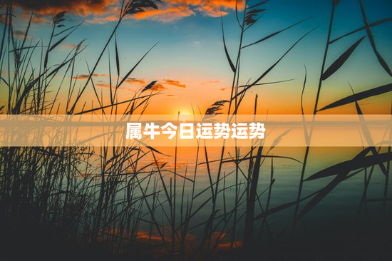 属牛今日运势运势 属牛今日运势运势
