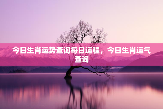 今日生肖运势查询每日运程，今日生肖运气查询