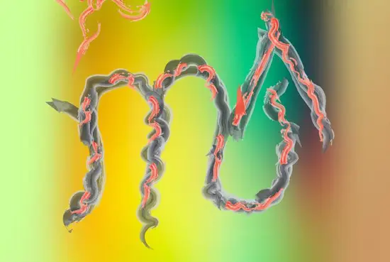 女生说天蝎座是什么意思(揭秘天蝎座女生的神秘面纱)