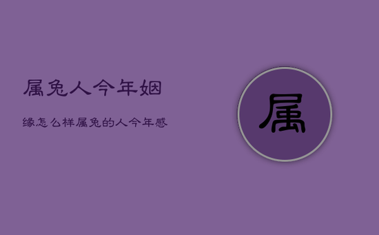 属兔人今年姻缘怎么样，属兔的人今年感情怎么样