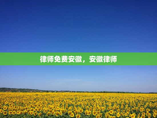 律师免费安徽，安徽律师