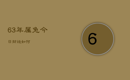 63年属兔今日财运如何
