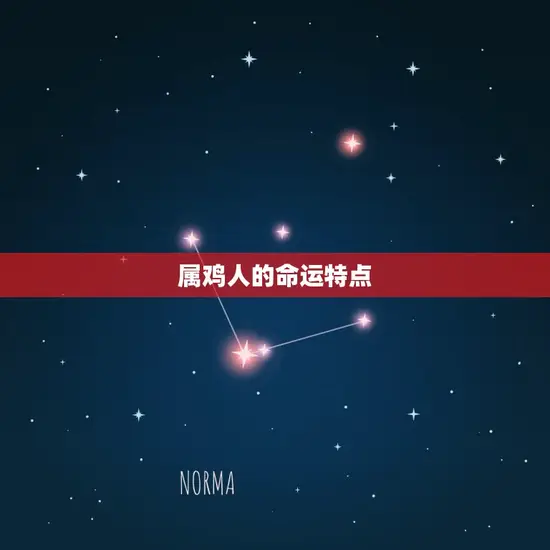属鸡人的命运特点
