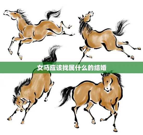 女马应该找属什么的结婚(如何选择最佳配偶)