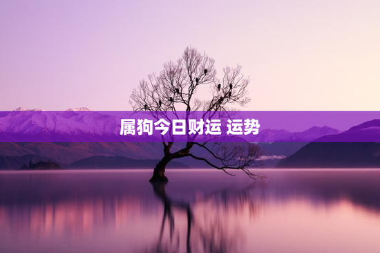 属狗今日财运 运势 属狗今日财运 运势