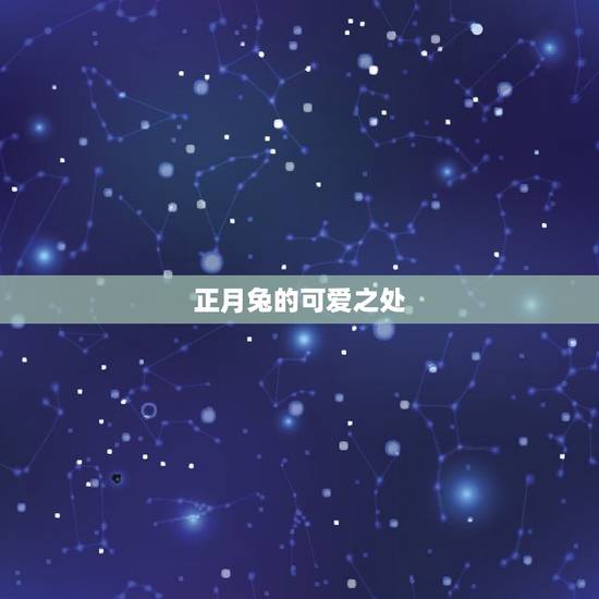 正月兔的可爱之处