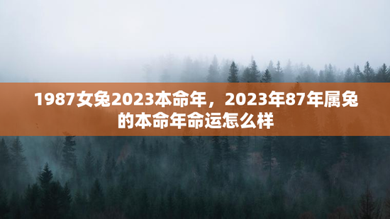 1987女兔2023本命年,2023年87年属兔的本命年命运怎么样 1987女兔2023本命年,2023年87年属兔的本命年命运怎么样
