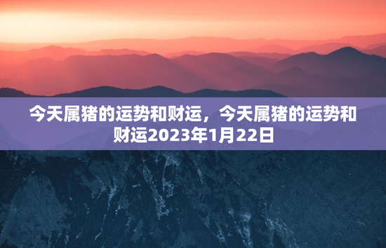 今天属猪的运势和财运，今天属猪的运势和财运2023年1月22日