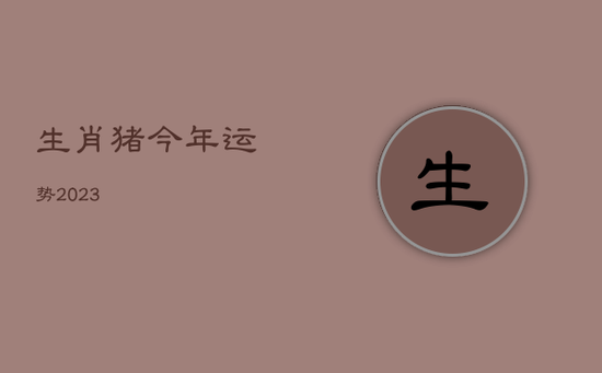 生肖猪今年运势2023