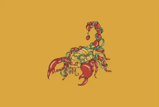 天蝎座星象轨迹分析