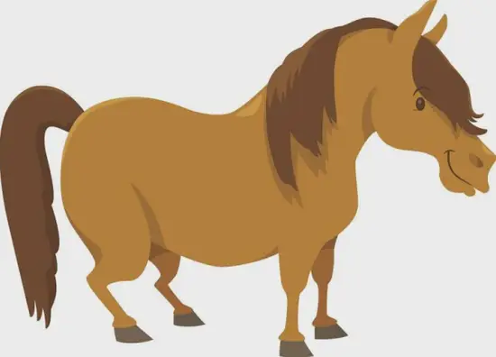 生肖马招财方位