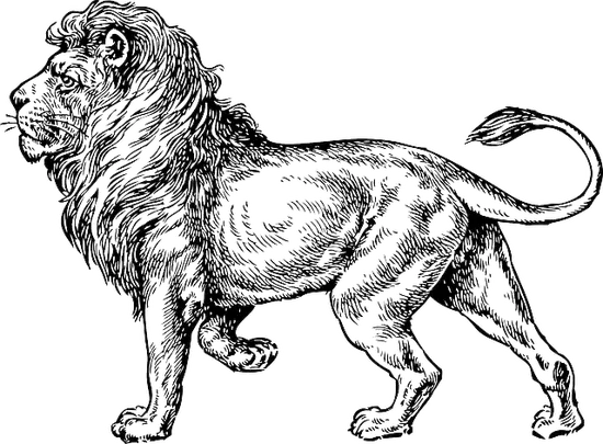 走进狮子男心里的星座女(探寻狮子男喜欢的女性特质)