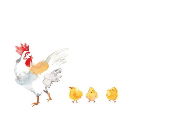 81年属鸡人的十年大运(如何把握命运转机)