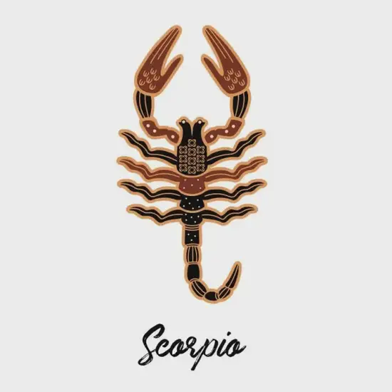 天蝎座财位布局示意图