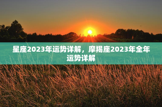星座2023年运势详解，摩羯座2023年全年运势详解