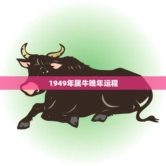 1949年属牛晚年运程(如何预测)