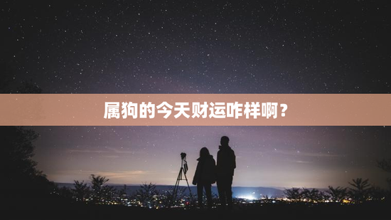 属狗的今天财运咋样啊？