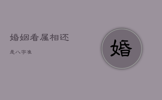 婚姻看属相还是八字准