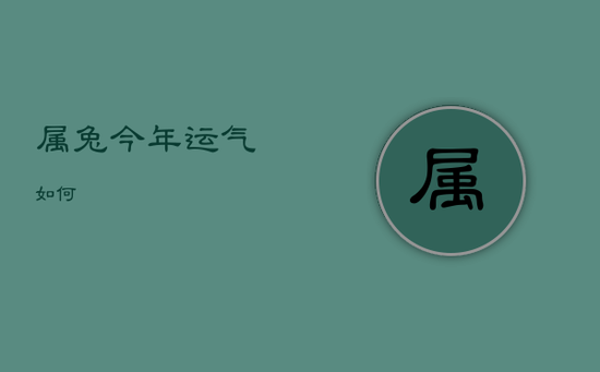 属兔今年运气如何