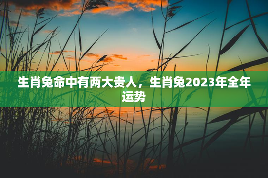 生肖兔命中有两大贵人,生肖兔2023年全年运势 生肖兔命中有两大贵人,生肖兔2023年全年运势