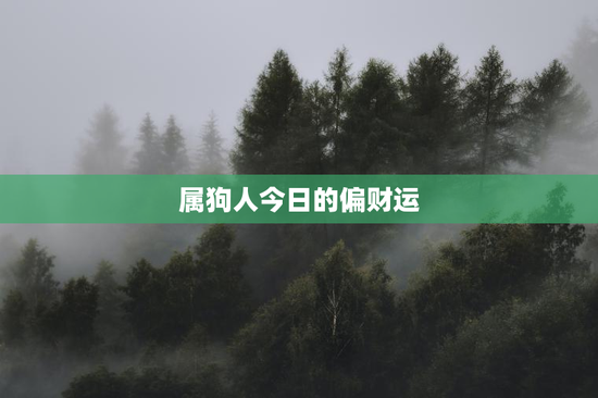 属狗人今日的偏财运