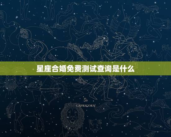 星座合婚免费测试查询是什么