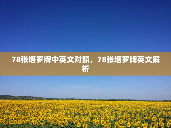 78张塔罗牌中英文对照，78张塔罗牌英文解析
