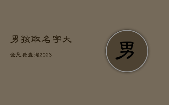 男孩取名字大全免费查询2023