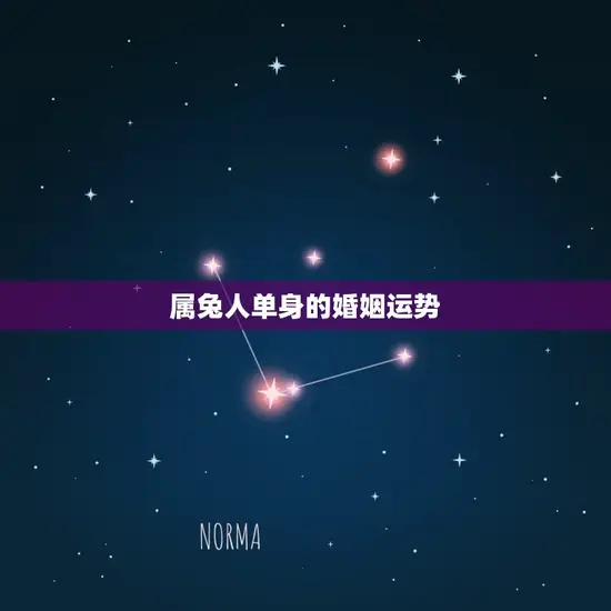 属兔人单身的婚姻运势 属兔人单身的婚姻运势