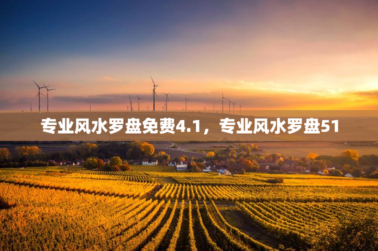 专业风水罗盘免费4.1,专业风水罗盘51 专业风水罗盘免费4.1,专业风水罗盘51