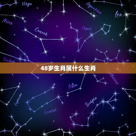 48岁生肖属什么生肖