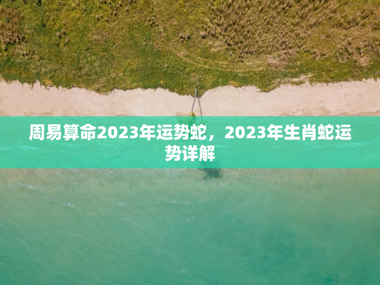 周易算命2023年运势蛇，2023年生肖蛇运势详解